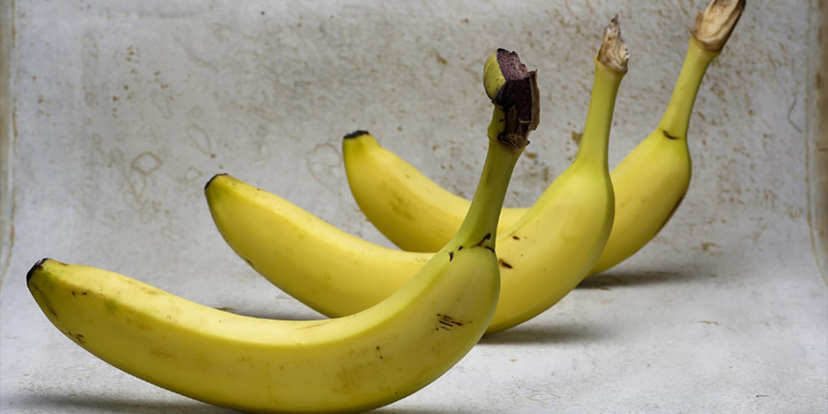 Cavendish a rischio, una banana Ogm può cambiare il mercato 